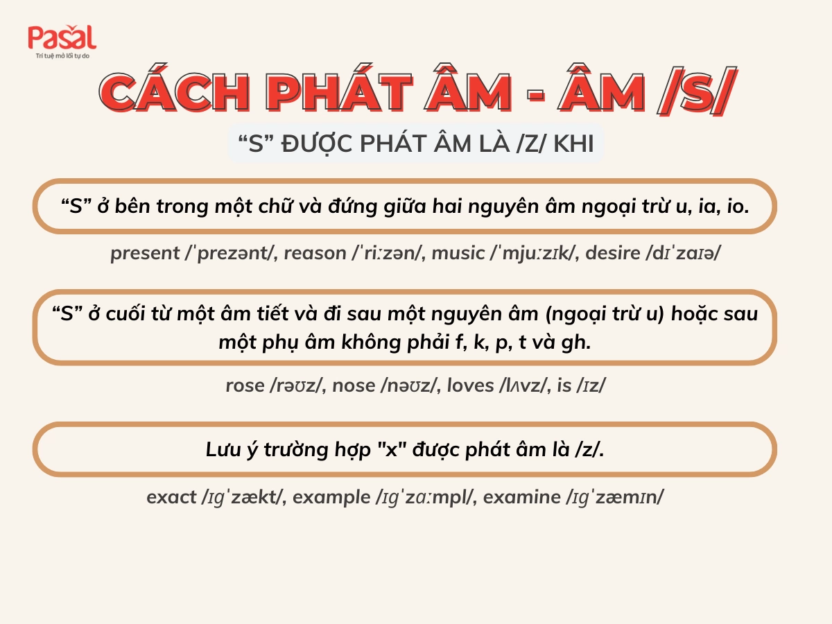 Âm /s/ và âm /z/ khác nhau thế nào?