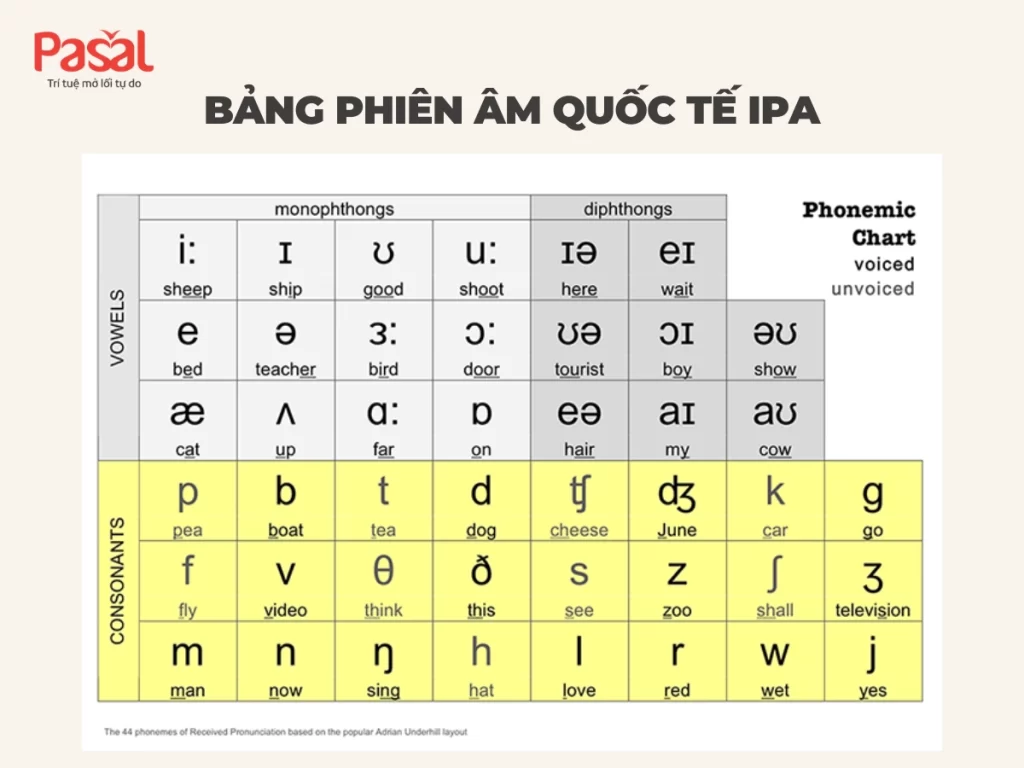 Học phát âm chuẩn với bảng phiên âm IPA tiếng Anh 2025