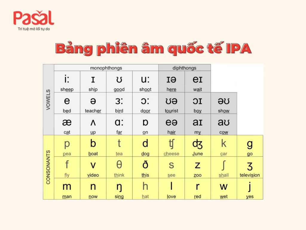 Trọn bộ tài liệu ôn thi IELTS từ A–Z cho người mới bắt đầu 2025
