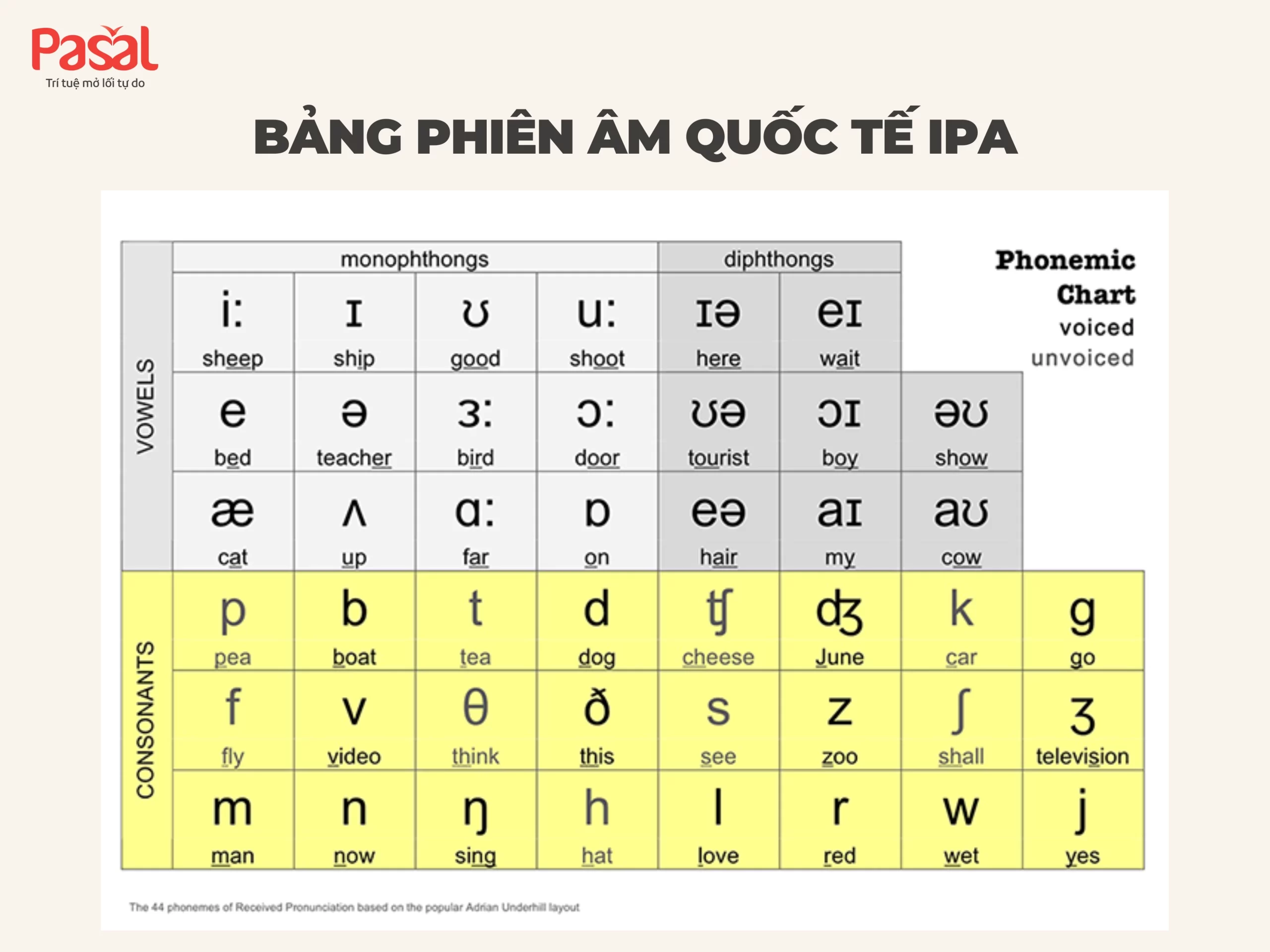 Trọn bộ tài liệu ôn thi IELTS từ A–Z cho người mới bắt đầu 2025
