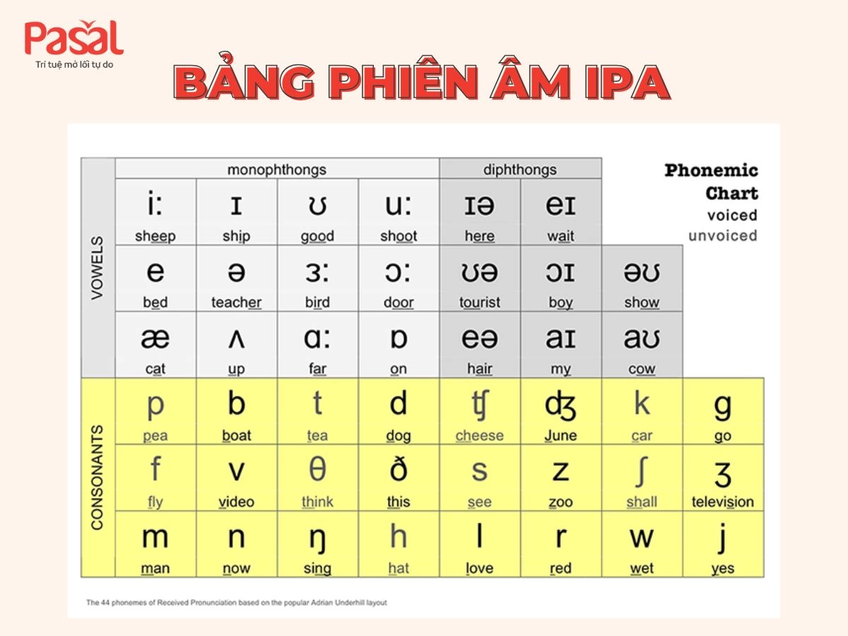 Trọn bộ tài liệu học tiếng Anh miễn phí cho người mới bắt đầu [Cập nhật 2025]