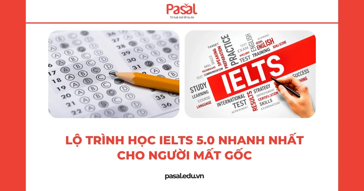 Lộ trình học IELTS 5.0 nhanh nhất cho người mất gốc