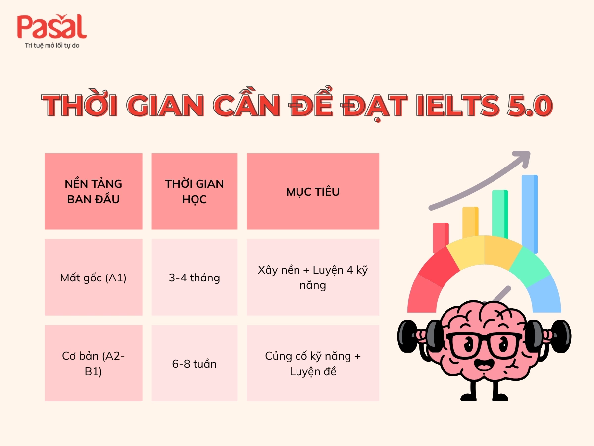 [Bật mí] A-Z Lộ trình học IELTS từ 5.0 lên 6.5 trong 2 tháng