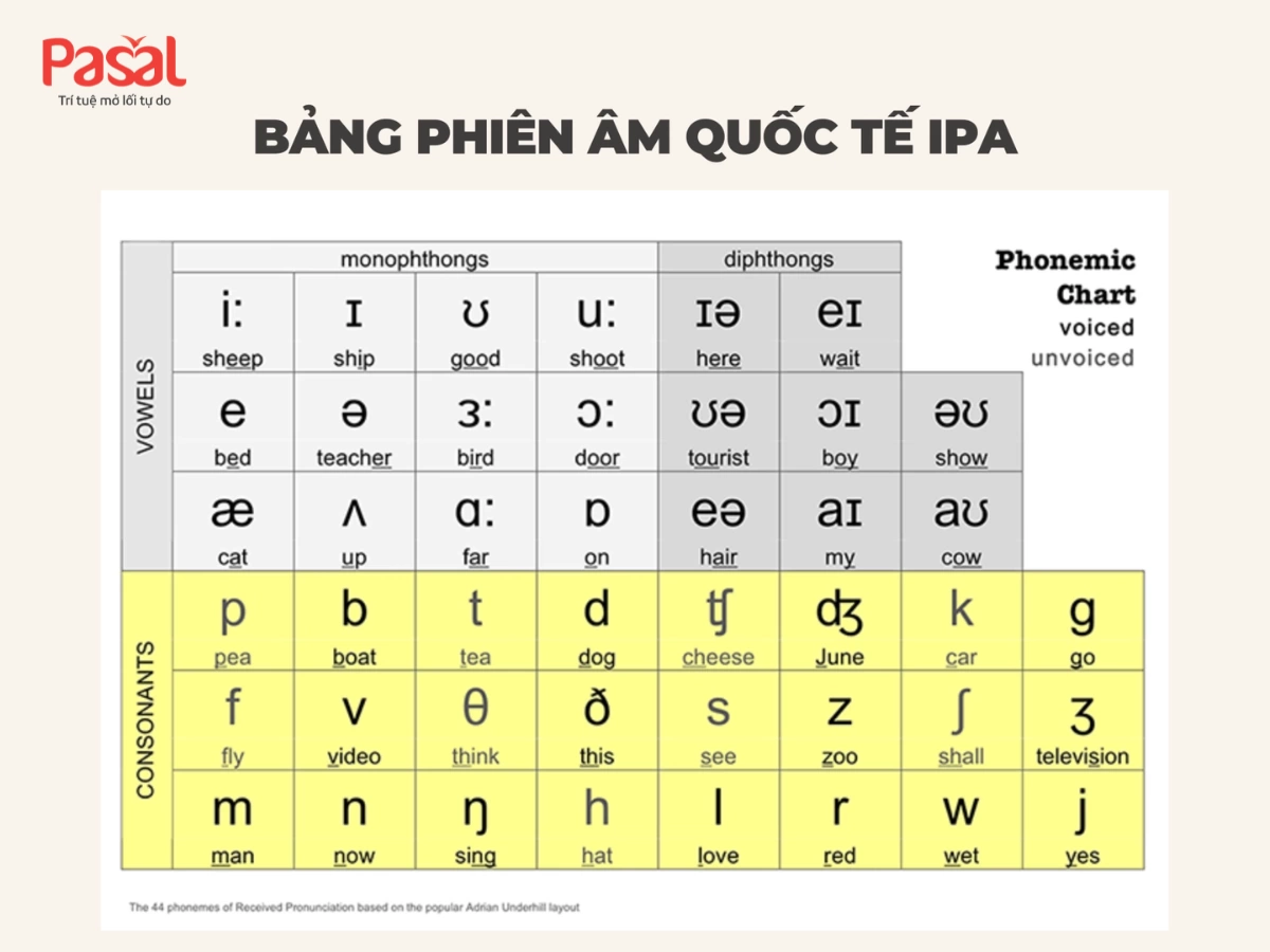 Mất bao lâu để đạt IELTS 6.5? Lộ trình chi tiết đạt 6.5 dễ dàng