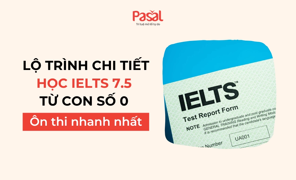 [2025] Lộ trình học IELTS 7.5 từ con số 0 chi tiết