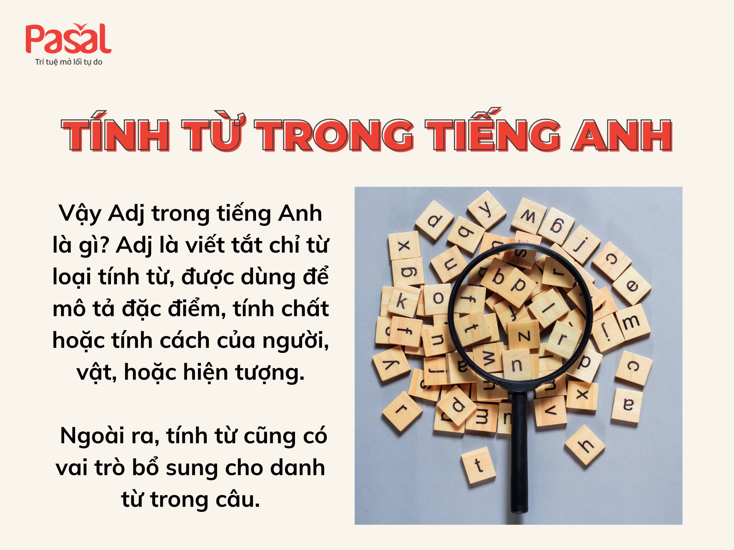 Adj trong tiếng Anh là gì? Cách sử dụng tính từ đúng cách trong tiếng Anh