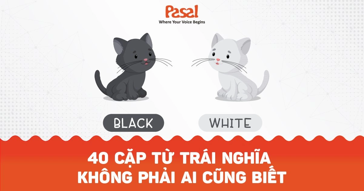 40 cặp từ trái nghĩa không phải ai cũng biết