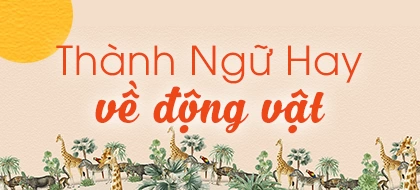 7 THÀNH NGỮ TIẾNG ANH VỀ ĐỘNG VẬT