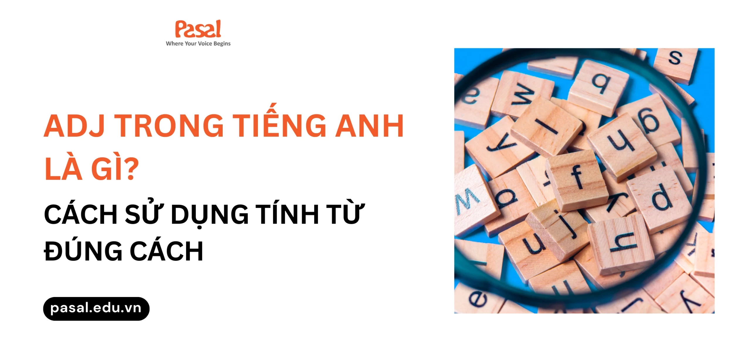 Adj trong tiếng anh là gì? Cách sử dụng tính từ đúng cách trong tiếng Anh