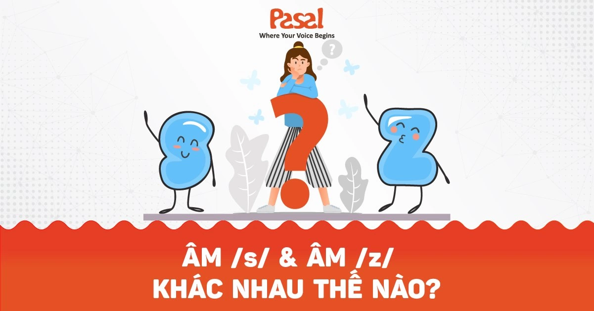 Âm /s/ và âm /z/ khác nhau thế nào?