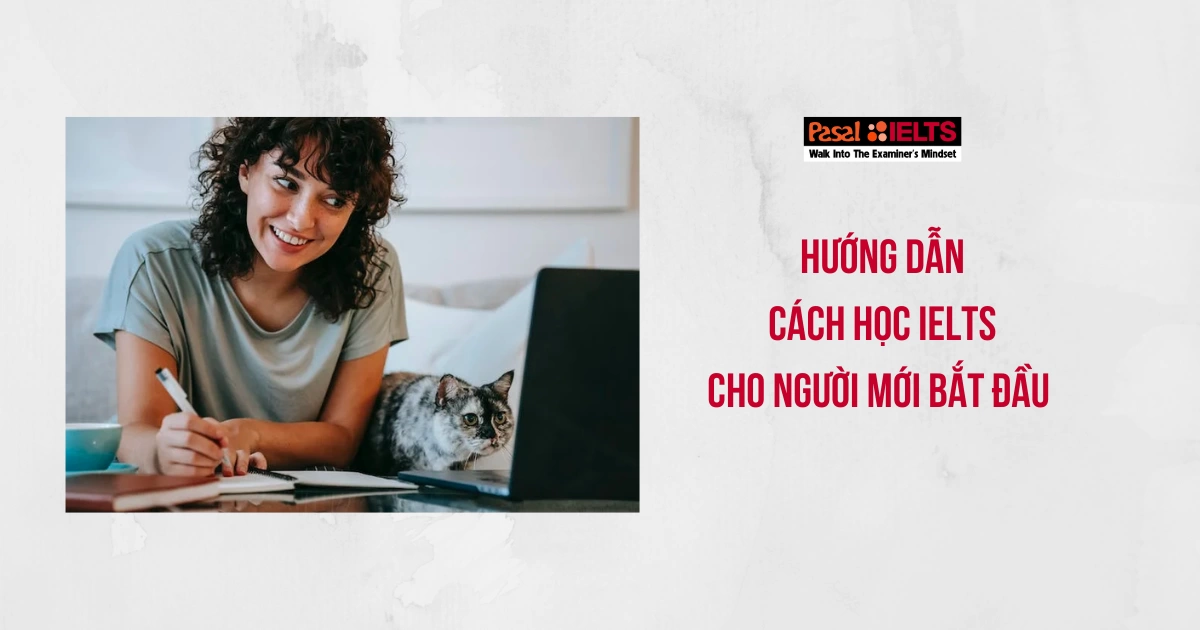 Cách học IELTS Writing cho người mới bắt đầu đơn giản và hiệu quả