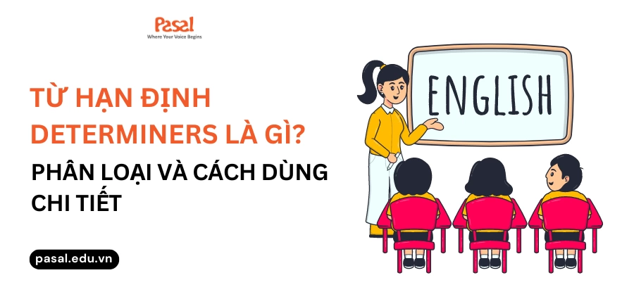 Từ hạn định determiners là gì? Phân loại và cách dùng chi tiết