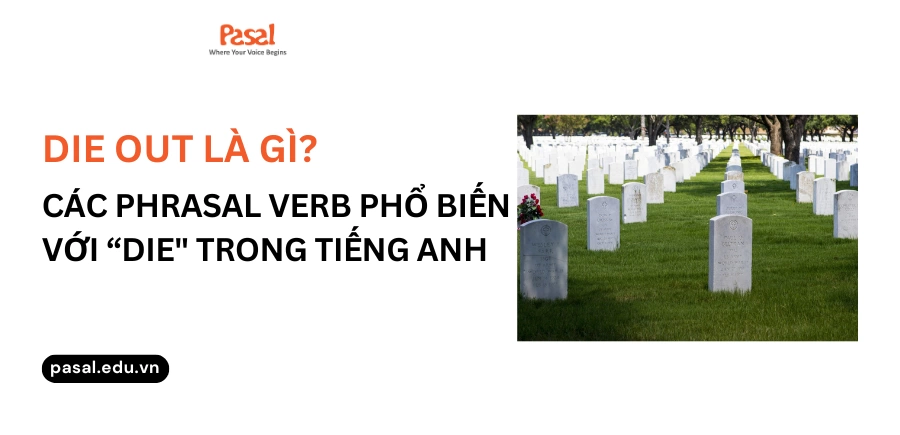 Die out là gì? Các phrasal verb phổ biến với “die” trong tiếng Anh