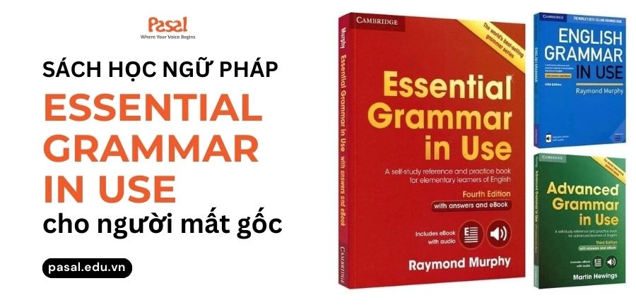 [PDF] Sách học ngữ pháp Essential Grammar In Use cho người mất gốc