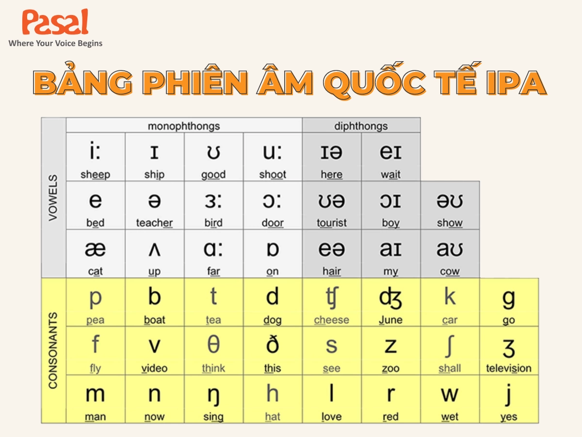 Bảng phiên âm tiếng Anh IPA