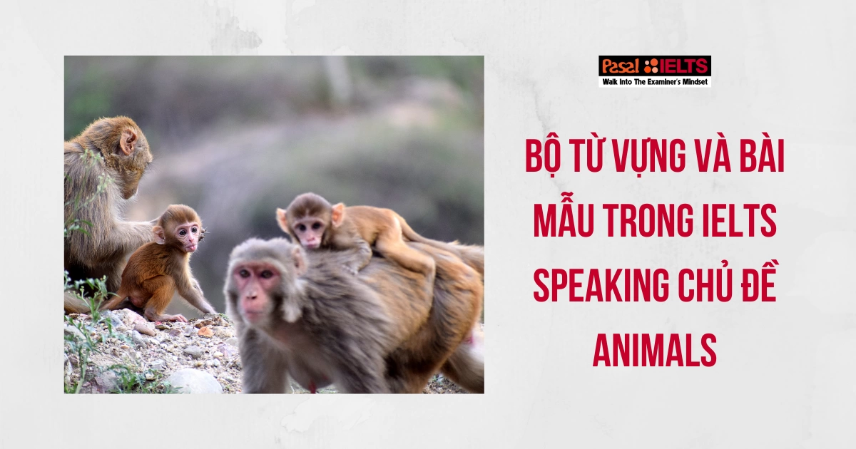 Tổng hợp từ vựng IELTS chủ đề Animals chất lượng tăng band điểm Speaking