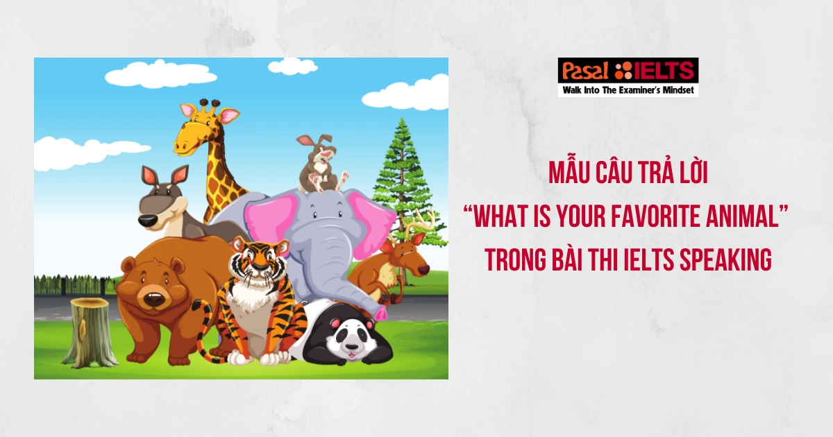 Mẫu câu trả lời “what is your favorite animal” trong bài thi IELTS Speaking