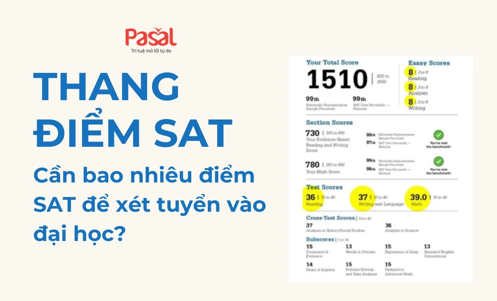 Thang điểm SAT – Cần bao nhiêu điểm SAT để xét tuyển vào đại học?