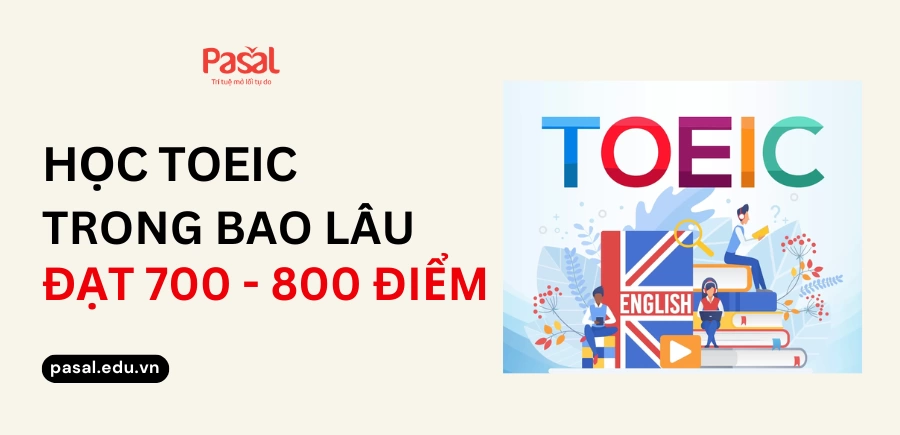 Tra cứu bằng TOEIC 2025: Cách kiểm tra thời hạn và giá trị chứng chỉ mới nhất