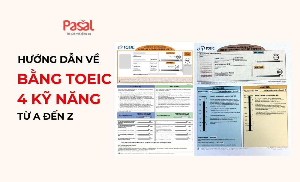 Hướng Dẫn Chi Tiết Về Bằng TOEIC 4 Kỹ Năng: Từ A Đến Z