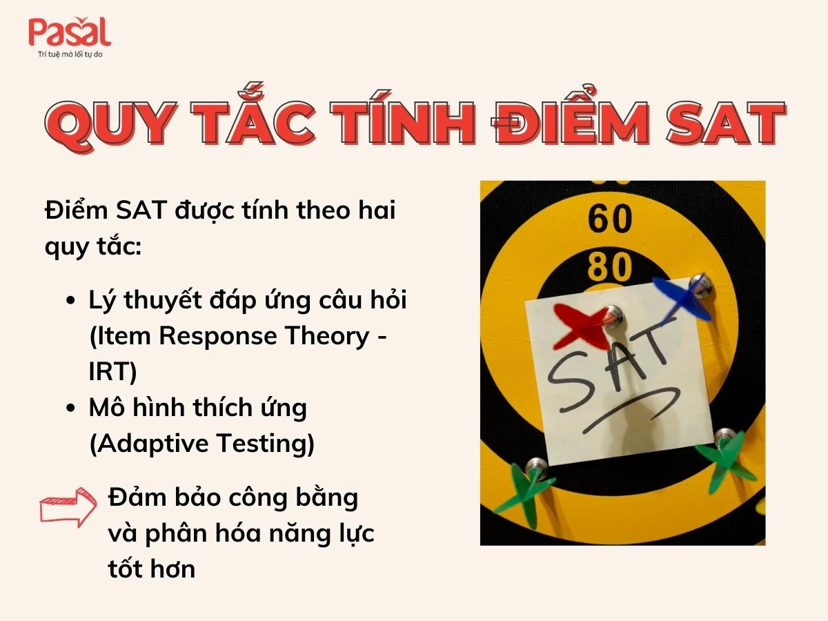 Cách tính điểm SAT: Hướng dẫn A – Z cách cộng điểm từng phần thi