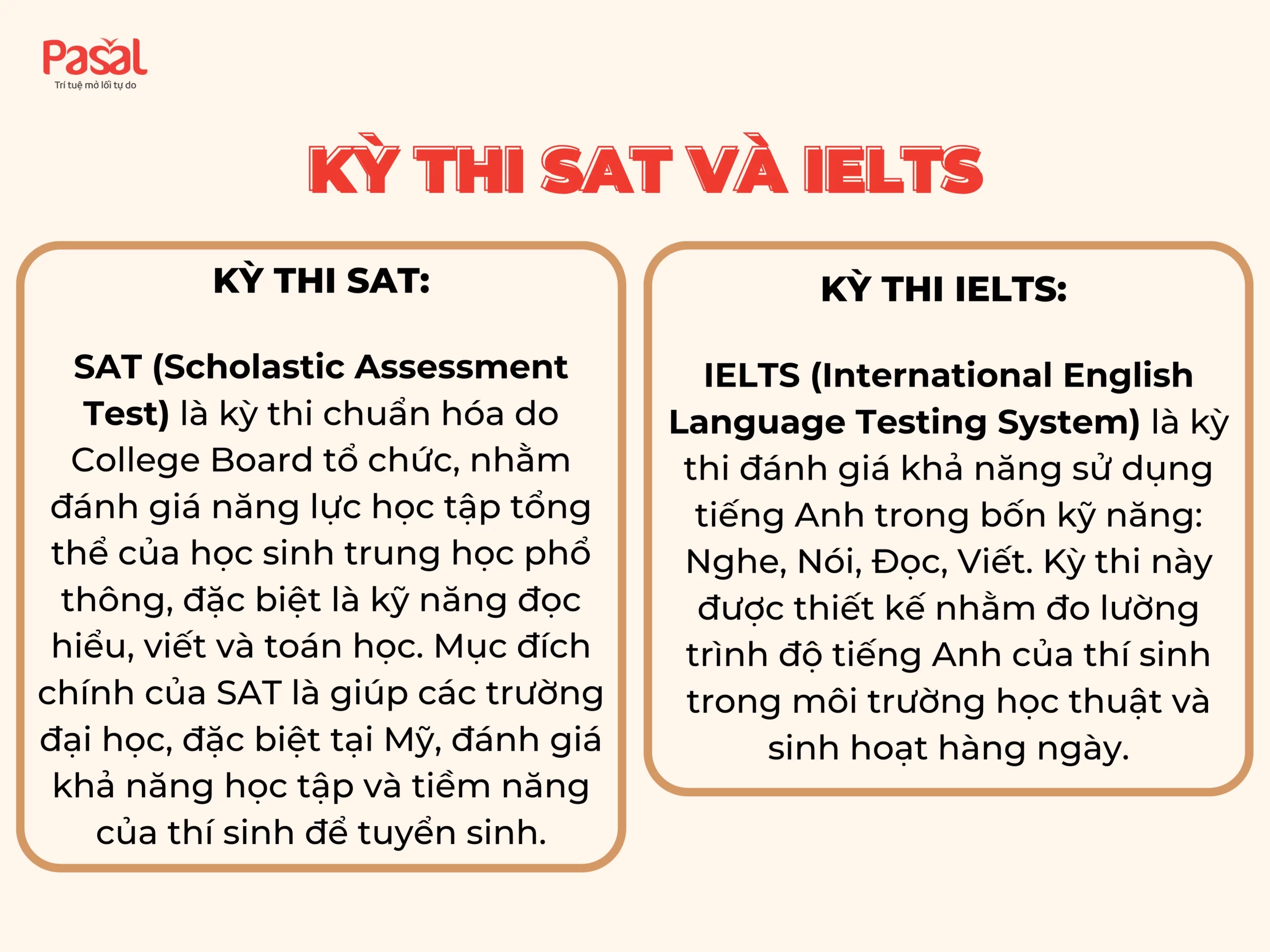 Thi SAT và IELTS cái nào khó hơn? Nên thi chứng chỉ nào trước?