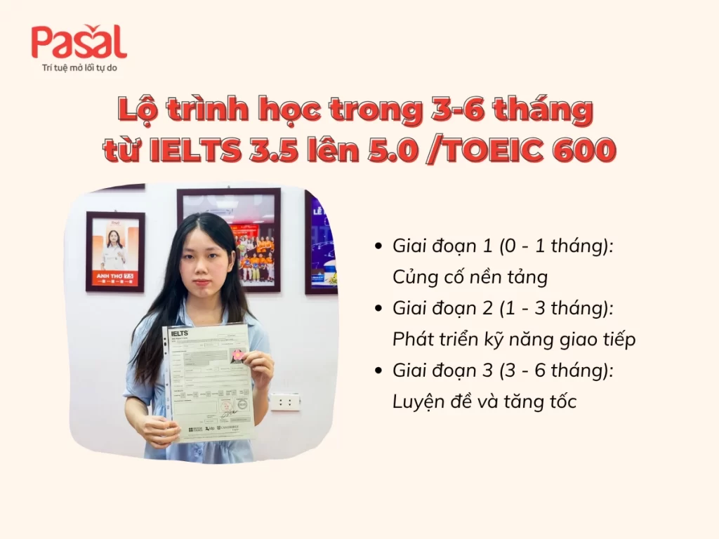 Lộ trình học gợi ý trong 3-6 tháng
