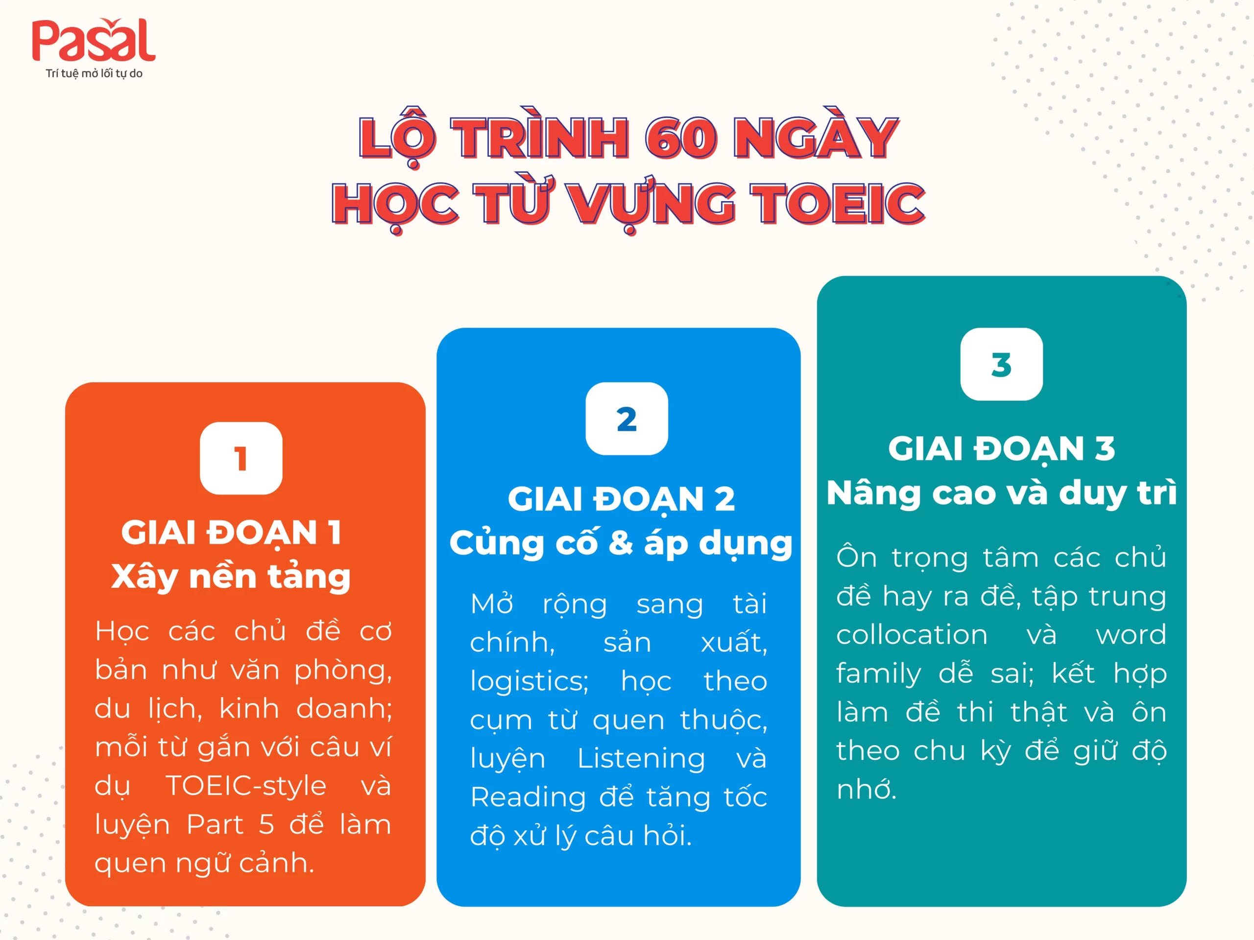 Từ vựng TOEIC phổ biến trong đề thi: Nhóm từ, cách học và lỗi thường gặp