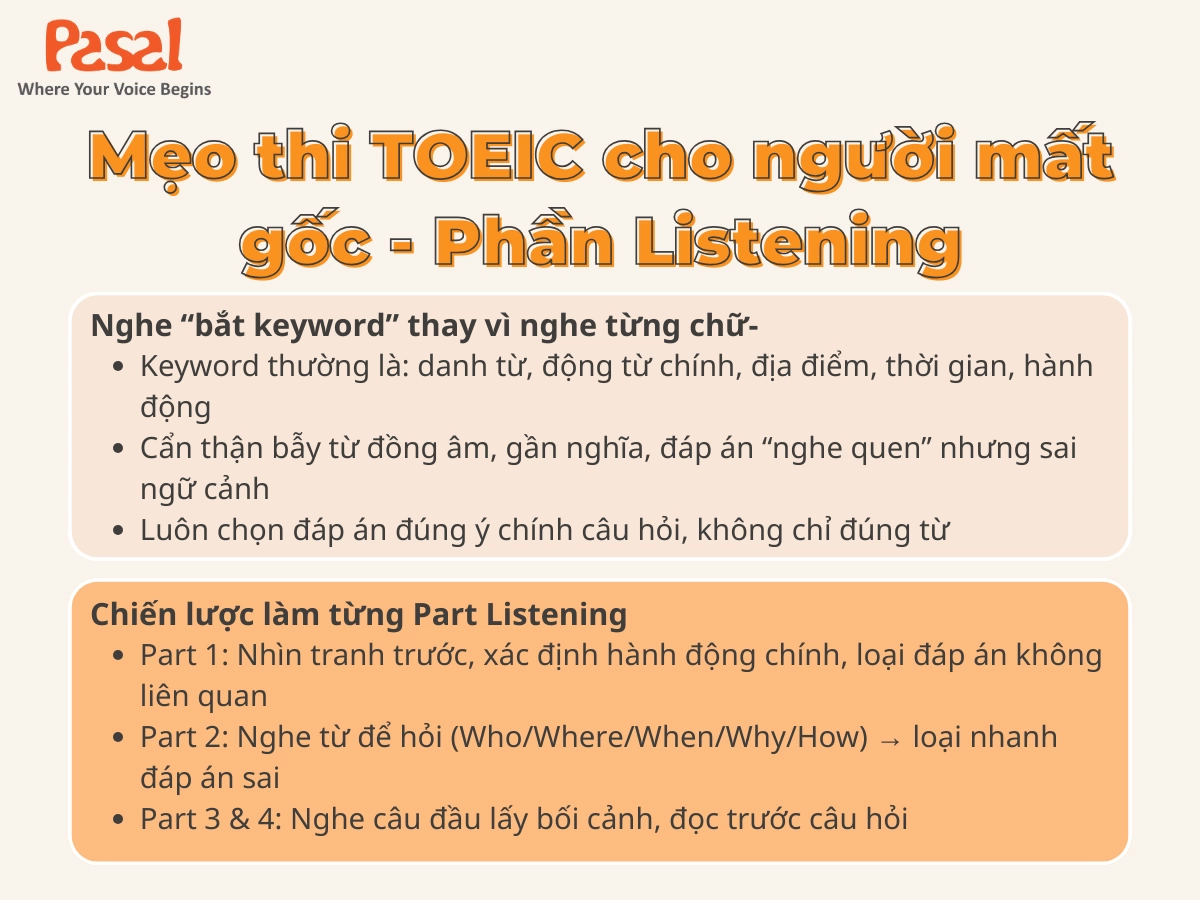 Mẹo thi TOEIC cho người mất gốc: Lộ trình đạt 450+ TOEIC nhanh chóng
