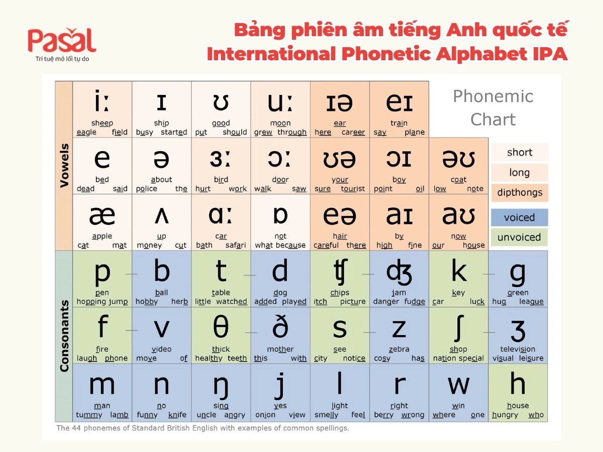 Mất bao lâu để nói được tiếng Anh giao tiếp? Lộ trình thực tế