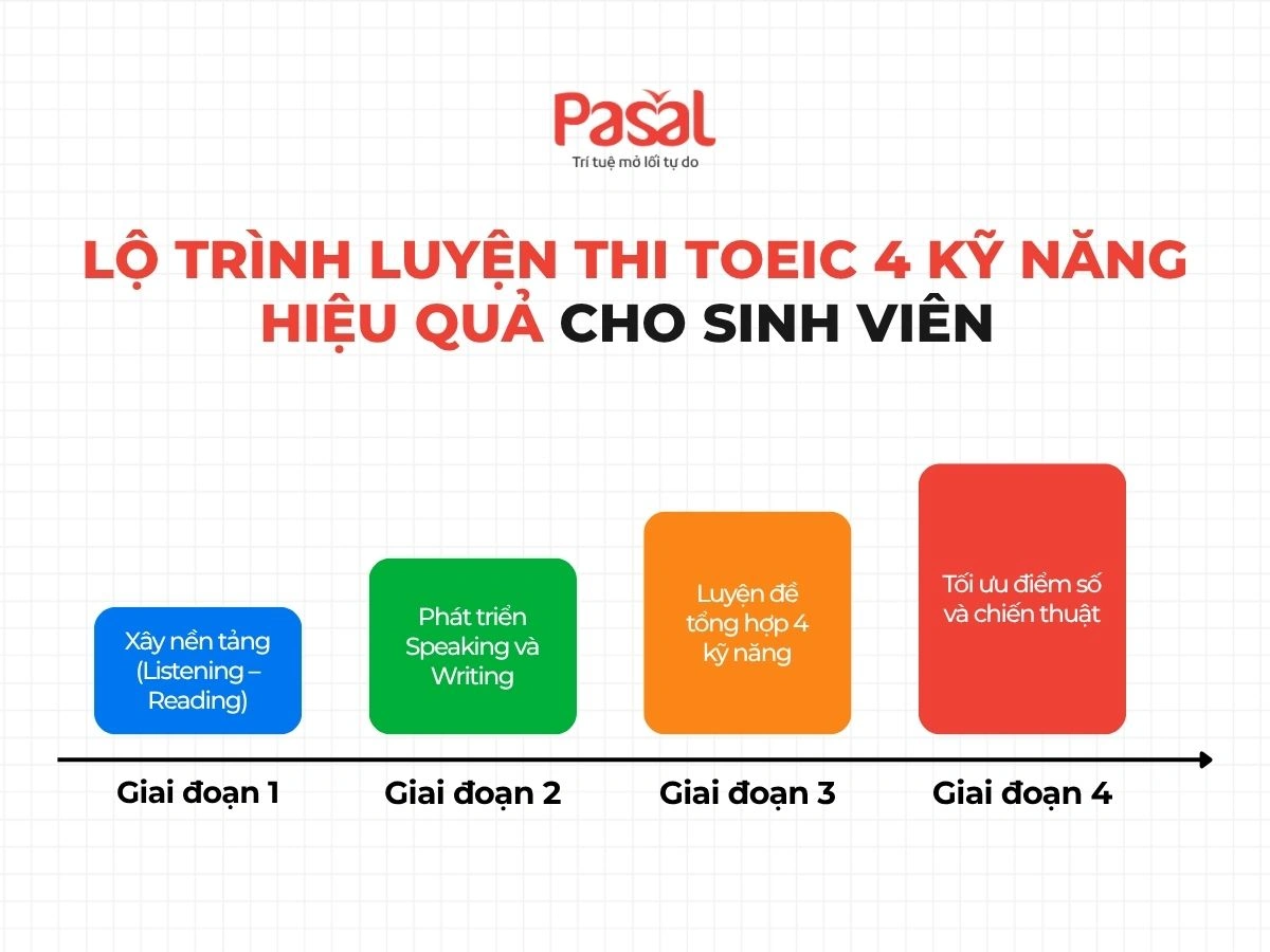 Luyện thi TOEIC trước tốt nghiệp đại học: Lộ trình học 4 kỹ năng tối ưu nhất